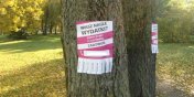 Nielegalne plakatowanie a estetyka naszego miasta