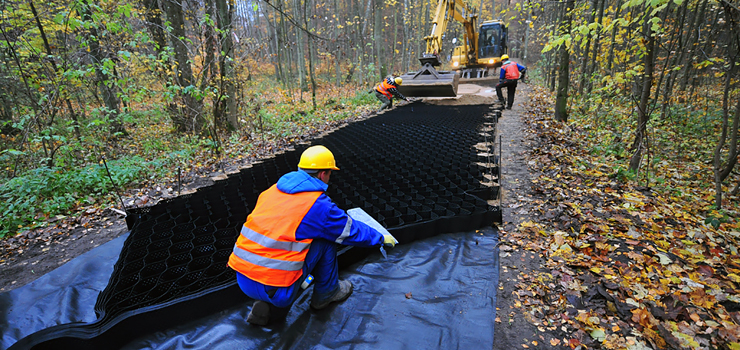 Ażur, piach i tłuczeń. Część szlaków Bażantarni będzie utwardzona. Co na to rowerzyści i biegacze?