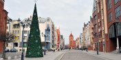 Wczoraj nieg, dzi choinka. Na Starwce stano boonarodzeniowe drzewko 
