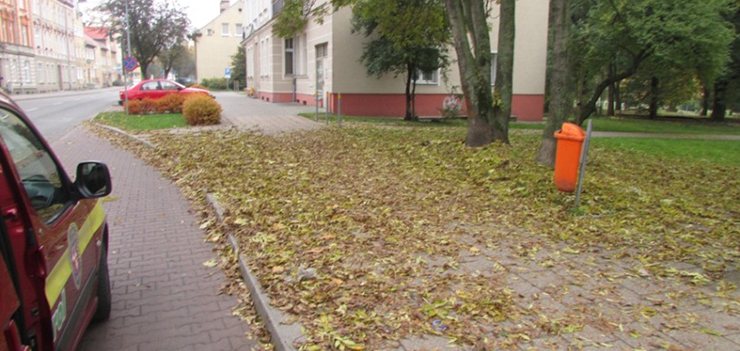 Jesienne licie znikny ju z chodnikw