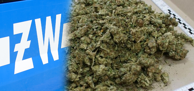 Zatrzymano 12 żołnierzy z Garnizonu Elbląg. "To sukces w walce z dilerami narkotyków w mundurach"