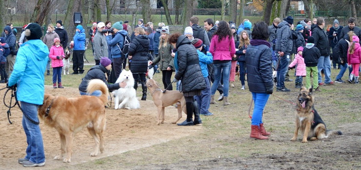 "Tu psy mogą robić to, czego nie mogą robić na co dzień". Zobacz zdjęcia z otwarcia parku dla psów