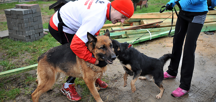 Za nami Bożonarodzeniowy Bieg na Sześć Łap - zobacz zdjęcia