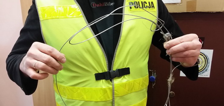Policjanci uratowali sarnę z pułapki kłusownika 