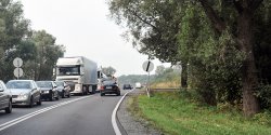 Ponad 300 przydro�nych drzew zniknie z okolic Elbl�ga. B�dzie mniej wypadk�w?
