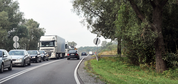 Ponad 300 przydrożnych drzew zniknie z okolic Elbląga. Będzie mniej wypadków?