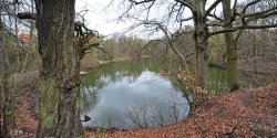 Znaleziono  cia�o 55-latki przy ul. D�browskiego. We wtorek sekcja zw�ok 