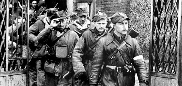 W obronie honoru i pamięci kapitana Romualda Rajsa - Burego