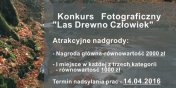 Konkurs fotograficzny „Las-Drewno-Czowiek” 