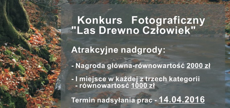 Konkurs fotograficzny „Las-Drewno-Czowiek” 