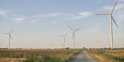 W okolicach Elbl�ga wyro�nie kolejna farma wiatrowa. Wiatraki stan� ko�o "si�demki"