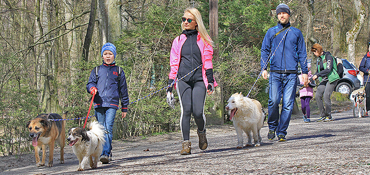 „To była doskonała okazja do aktywnego powitania wiosny”. Zobacz zdjęcia z Biegu na Sześć Łap