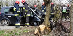 Jeg�ownik: pijany kierowca spowodowa� kolizj�. Uciekaj�c uderzy� w drzewo i p�ot