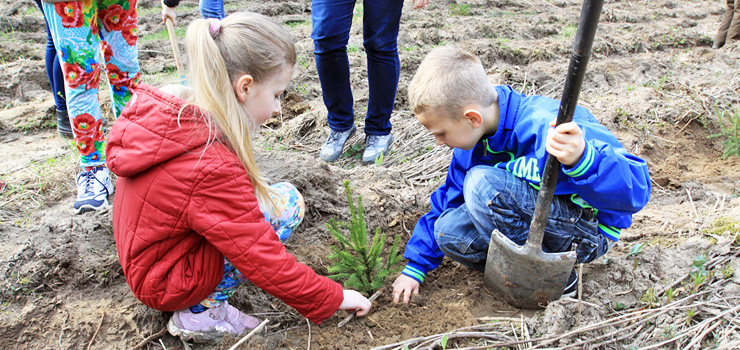 Posadzili w Bażantarni 700 drzew - zobacz zdjęcia