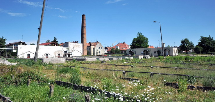 Było ogrodnictwo, będzie osiedle mieszkaniowe? Teren przy Sadowej czeka na dewelopera