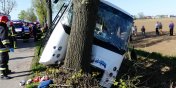 Wypadek między Zwierznem a Kępniewem. Autobus PKS uderzył w drzewo, osiem osób rannych