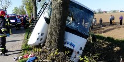 Wypadek mi�dzy Zwierznem a K�pniewem. Autobus PKS uderzy� w drzewo, osiem os�b rannych