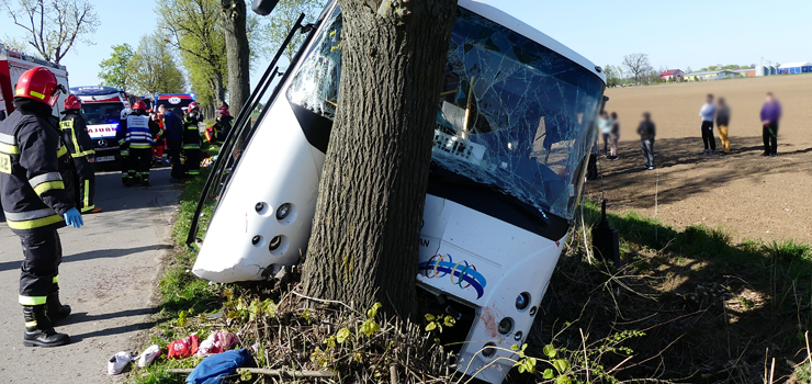 Wypadek między Zwierznem a Kępniewem. Autobus PKS uderzył w drzewo, osiem osób rannych