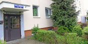 Dawniej bezmylnie sadzono je pod oknami. Dzi zasaniaj widok i przeszkadzaj lokatorom