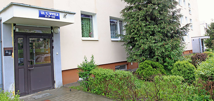 Dawniej bezmylnie sadzono je pod oknami. Dzi zasaniaj widok i przeszkadzaj lokatorom