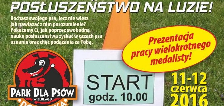 Warsztaty w parku Doglinka o "Posuszestwie na luzie"