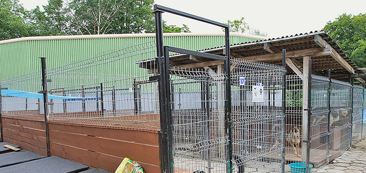 180 tys. zł za ciszę. Miasto postawi kolejne ekrany akustyczne w schronisku dla zwierząt