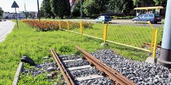 Budowa torowiska na 12 Lutego coraz bli�ej. Czy centrum miasta zostanie ponownie rozkopane na 2 lata?
