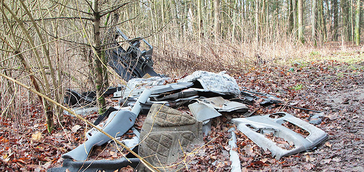 Lasy wokół Elbląga toną w śmieciach. Sterty odpadów niszczą przyrodę