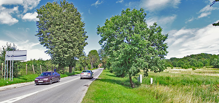 Rondo, strażnica i nowe osiedla. Okolice skrzyżowania Łęczyckiej i Rawskiej czekają spore zmiany