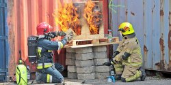 60 stra�ak�w walczy�o z ogniem na dzia�ce przy ul. ��czyckiej – zobacz zdj�cia