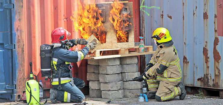 60 strażaków walczyło z ogniem na działce przy ul. Łęczyckiej – zobacz zdjęcia