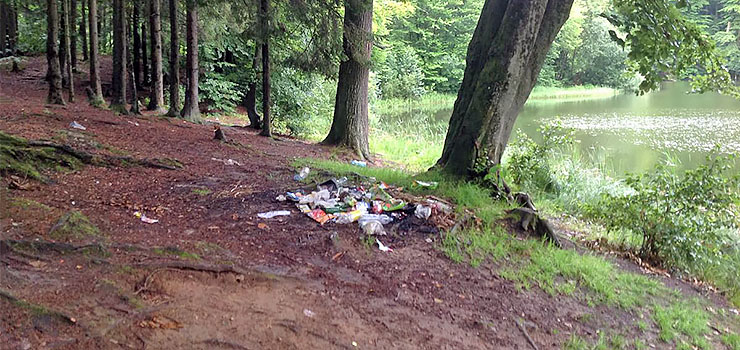 Wędkarze posprzątali Jelenią Dolinę. Zebrali 400 kilogramów śmieci