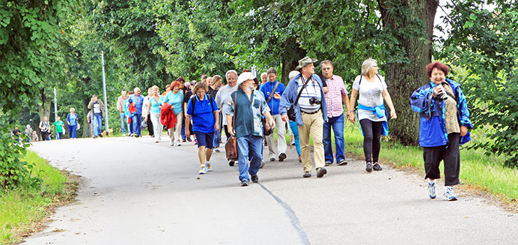 Z przewodnikiem zawędrowali na koniec Elbląga. Zobacz zdjęcia ze spaceru po Próchniku