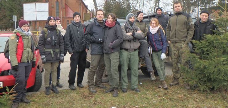 "To są drapieżniki, ale nie panikujmy". Chcą chronić wilki żyjące w podelbląskich lasach