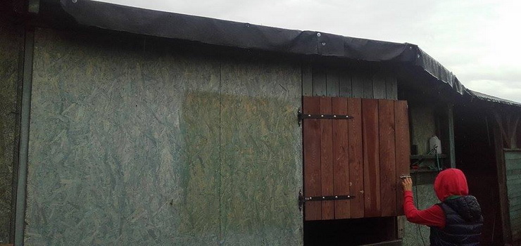 Chcą nadal ratować konie z targów śmierci. Niestety Azyl stworzony w Nowakowie niszczeje