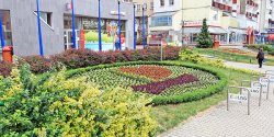 Elblskie dekoracje kwiatowe s jednymi z pikniejszych w Polsce