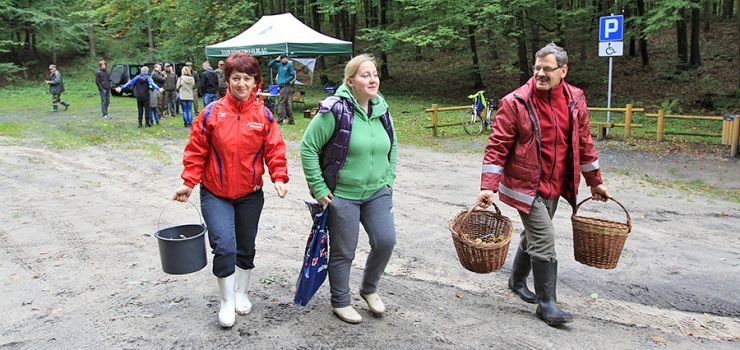 Pełne kosze zebrali elblążanie podczas grzybobrania z leśnikami - zobacz zdjęcia
