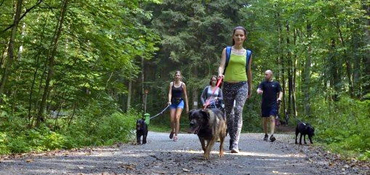 Bieg na Sześć Łap w jesiennych barwach