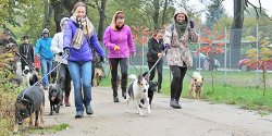 "Mi�o�nicy czworonog�w mieli okazj� po��czy� przyjemne z po�ytecznym" - zobacz zdj�cia z Biegu na Sze�� �ap