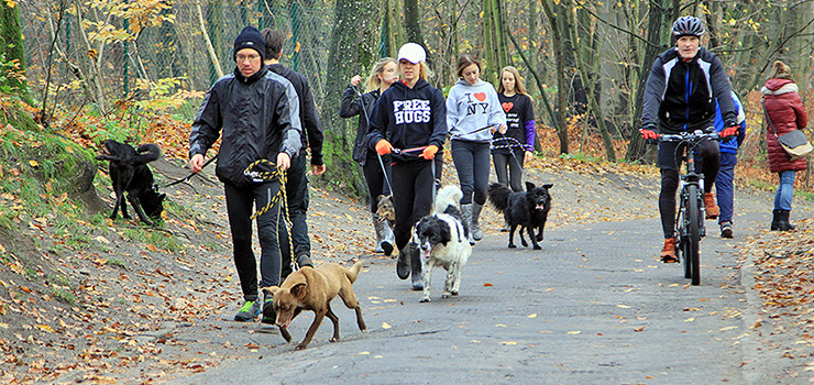 Za nami kolejna edycja Biegu na Sześć Łap - zobacz zdjęcia