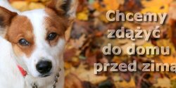 Zima zbli�a si� wielkimi krokami