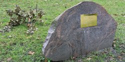 �ci�ty "D�b wolno�ci" zostanie zast�piony innym. "Podobny przypadek dewastacji tego pomnika mieli�my ju� wcze�niej"