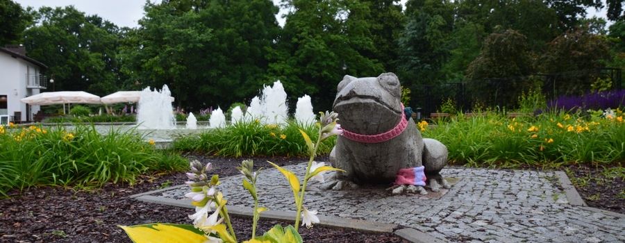Plebiscyt na najpiękniejsze fontanny w Polsce. Zagłosuj na elbląską żabkę