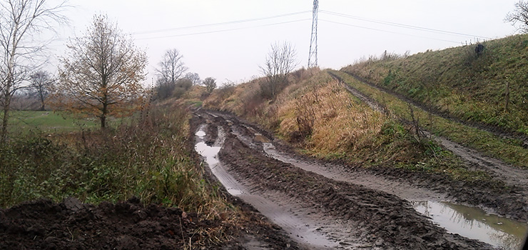 Interwencja INFO: Mieszkańcy podelbląskiego Adamowa odcięci od świata. Miał być dojazd, a jest błoto i koleiny