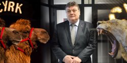 Miasta przegrywaj walk o prawa zwierzt. Czy Prezydent Wrblewski cofnie zarzdzenie w sprawie cyrkw?