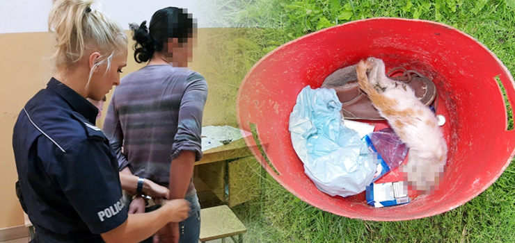 Kociak ją podrapał, skopała go na śmierć. Znamy wyrok w tej sprawie