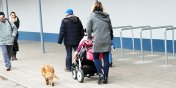 Samotne matki zostan pozbawione wiadcze alimentacyjnych?