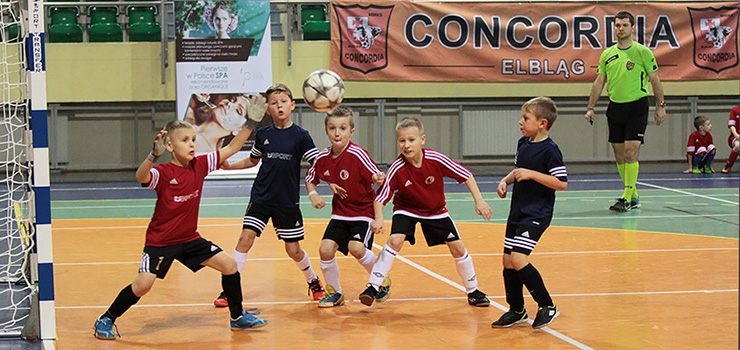 Elbląska Szkółka Piłkarska zwycięzcą turnieju Concordia Cup - zobacz zdjęcia