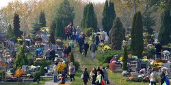 Niebawem Cmentarz D�bica zostanie rozbudowany