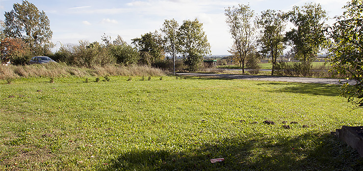 Starostwo Powiatowe chce sprzedać działki niedaleko Elbląga